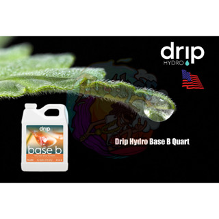 Drip Hydro Base B Quart ปุ๋ยหลักใช้ได้ทุกช่วงตั้งแต่เริ่มจนจบ 946 ML.