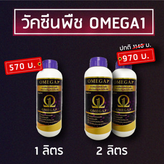 วัคซีนพืช "OMEGA1" นวัตกรรมใหม่ ทำงาน 4 in 1 เสริมภูมิคุ้มกันพืช ทนโรค เพิ่มผลผลิต