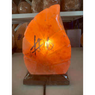 โคมไฟเกลือหิมาลายัน ทรงใบไม้ Himalayan Salt Lamp โคมไฟหินเกลือ