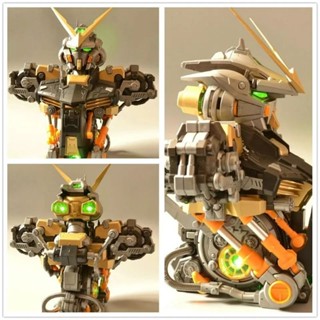 Gundam Head Display 1/35 Astray gold Frame [Motor King]