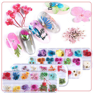 พร้อมส่งทุกวัน เซ็ตดอกไม้แห้ง สไตล์ญี่ปุ่น สำหรับตกแต่งเล็บ Dried Flowers Nail DIY มีให้เลือกหลายแบบ