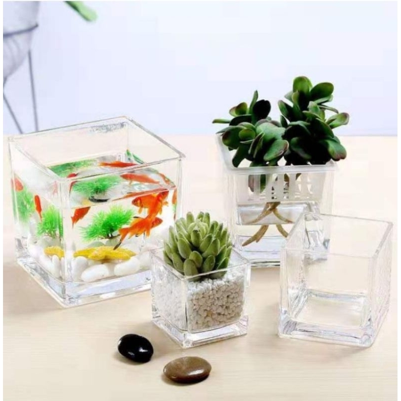 [พร้อมส่ง]โถแก้ว ขนาด10cm,9.6cm,8cm ทรงสี่เหลี่ยม ใช้จัดดอกไม้หรือวางโชว์