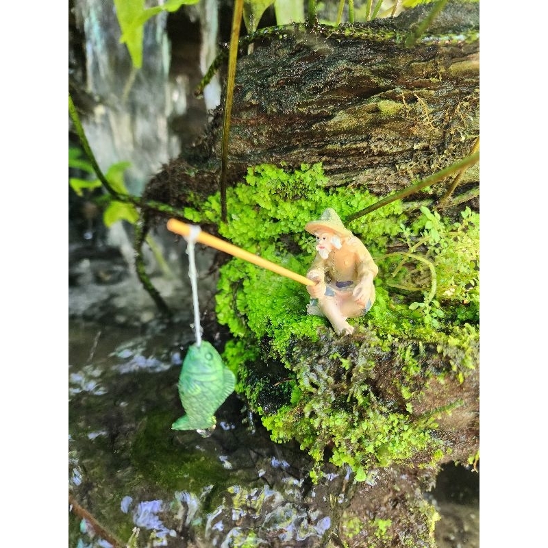 ตาแป๊ะตกปลา ส่งด่วน ตาแป๊ะตกแต่งตู้ปลา จัดสวน(พร้อมส่ง) - รูปที่ 3