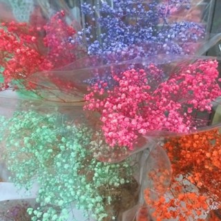 ยิปโซย้อมสีสวยๆดอกไม้แห้งนำไปจัดช่อเองตกแต่งDIYพร้อมส่ง