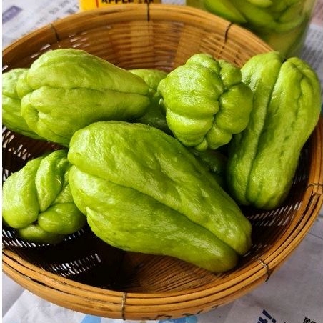 ฟักแม้ว 1กิโล ลูกมะระหวาน สดใหม่ จากดอยอ่างขาง