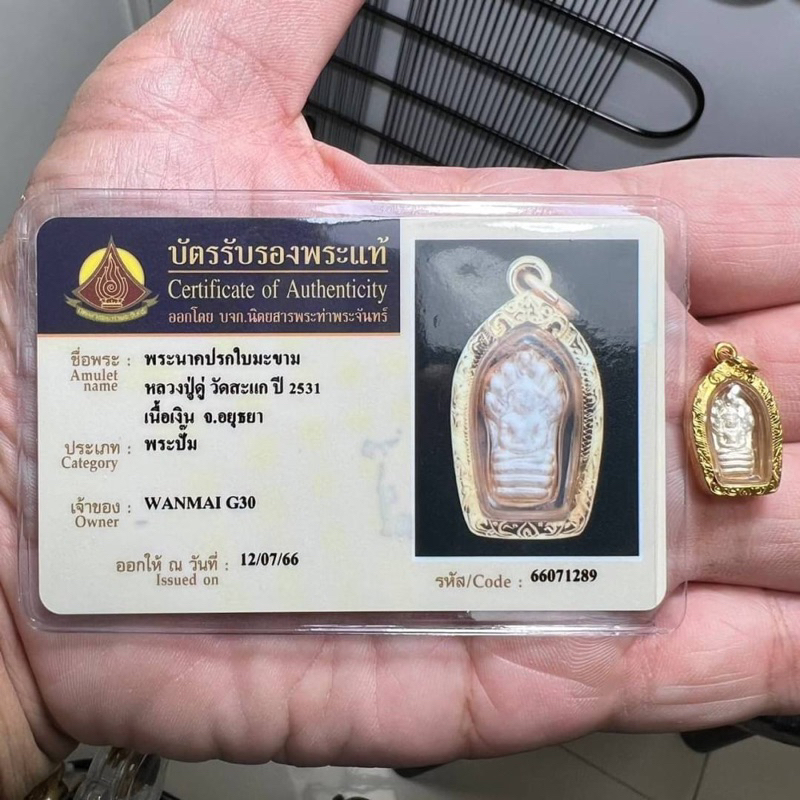 พระนาคปรกใบมะขาม ปี 2531 หลวงปู่ดู่ วัดสะแก 💳พร้อมบัตรรับรองพระแท้