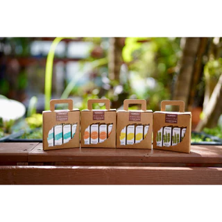 ยาหม่องน้ำ Herbpiness Liquid balm 9.6 ml : MINT | ORANGE | LEMON | CITRONELLA : Pack 4