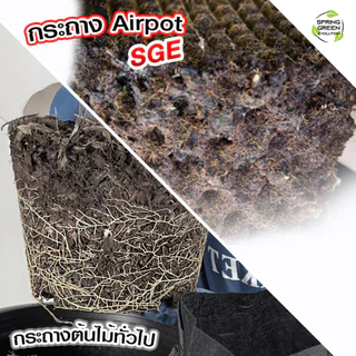 SGE กระถางต้นไม้ กระถางดอกไม้ Air Pot( AP แนะนำ 5 ชิ้น ราคาพิเศษ!!!) พลาสติก เกรด HDPE ประกันคุณภาพ