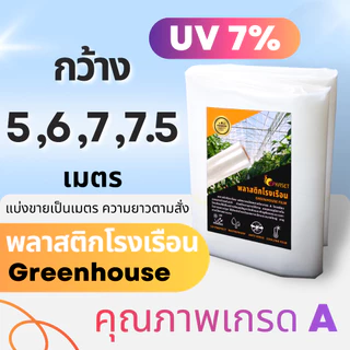 พลาสติกคลุมโรงเรือน Greenhouse ของแท้ PE กว้าง 5-8 ม. หนา100-200ไมครอน กันUV7% อายุ3-5ปี ขายเป็นเมตร