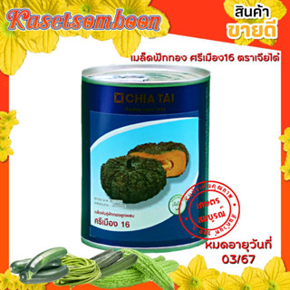 ฟักทองศรีเมือง 16 F1 เมล็ดพันธุ์ ลายข้าวตอก 100 ก. ตรา เจียไต๋