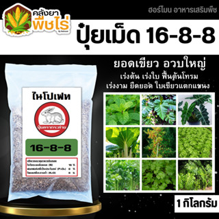 🌽 กระต่าย 16-8-8 (ปุ๋ยแบ่งขาย) 1กิโลกรัม ปุ๋ยสูตร เร่งต้น เร่งใบ ฟื้นต้น