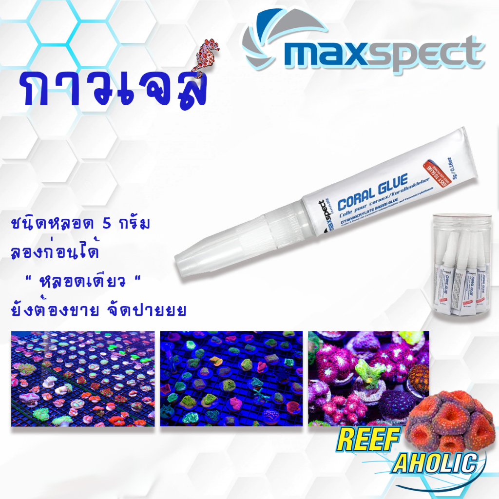 Reef-Aholic Maxspect Coral Glue 5g  กาวเจลติดปะการัง ใช้ได้ในทุกสภาวะ จะในน้ำหรือบนบก ติดแล้วแฟรกชอบ แบ่งปุกมาขายเดี่ยว