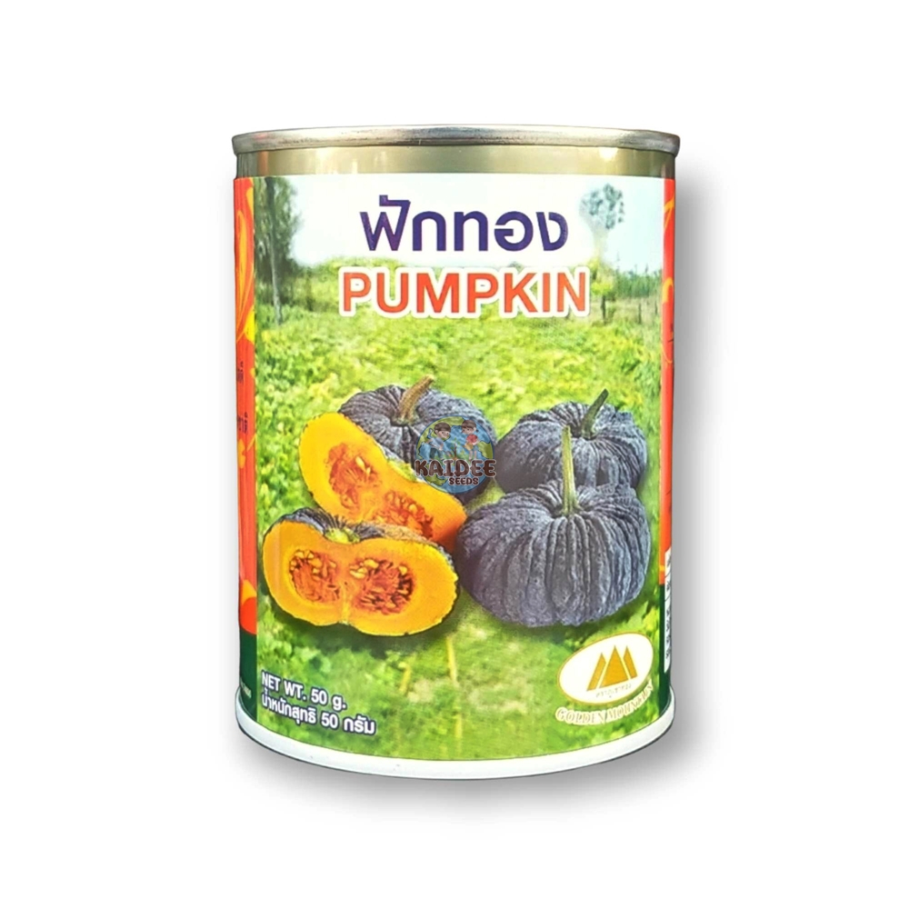 เมล็ดฟักทอง Pumpkin ตราภูเขาทอง น้ำหนักสุทธิ50 เมล็ดพันธุ์ฟักทอง ฟักทอง เมล็ดพันธุ์ผัก
