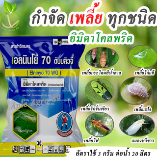 เอลนินโย่ อิมิดาโคลพริด ขนาด 100 กรัมยากำจัดเพลี้ยได้ทุกชนิด เพลี้ยแป้ง เพลี้ยไฟ เพลี้ยไก่แจ้ เพลี้ยกระโดด เพลี้ยจักจั่น