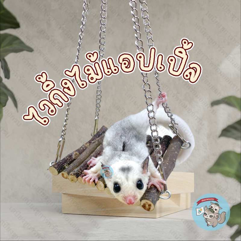 V ( ไวกิ้งไม้แอปเปิ้ล ) VIKING APPLE ของเล่น เปลนอน ไม้แอปเปิ้ล ไม้ ไผ่หวาน ไม้แทะ ไม้ลับฟัน ชูการ์ กระรอก แฮมสเตอร์