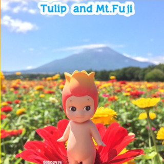 Sonny Angel 『Tulip』น้องทิวลิป