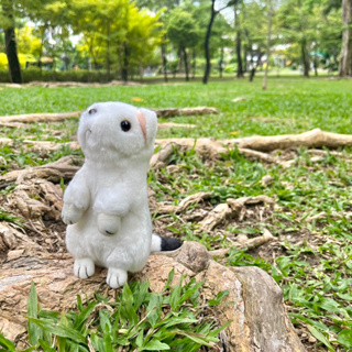 ตุ๊กตาเพียงพอน เฟอเรท (Ferret) มิงค์ white  ferret white weasel toys ตุ๊กตาสัตว์เหมือนจริง ตัวมิงค์สีขาว มิงค์สีขาว  Whi