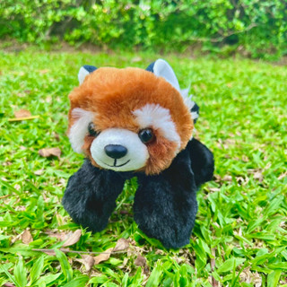 ตุ๊กตาแพนด้าแดง ตุ๊กตา แพนด้าแดง Red panda  LESSER PANDA , RED PANDA,  Red panda plush toy แพนด้าแดง