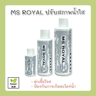 MS Royal ปรับสภาพน้ำใส (ขวดขาว)