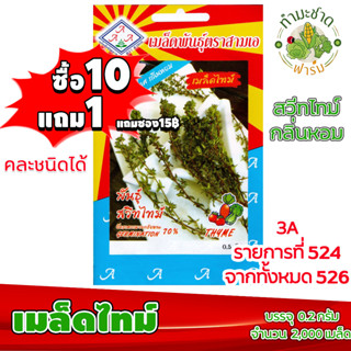 (ซื้อ10แถม1) เมล็ดพันธุ์ เมล็ด ไทม์ Thyme ประมาณ 2,000เมล็ด 3A สามเอ ผักสวนครัว เมล็ดพันธุ์พืช เมล็ดผัก เม็ดผัก พืชผัก