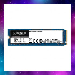 250 GB SSD (เอสเอสดี) KINGSTON NV1 - PCIe 3/NVMe M.2 2280 ใช้งานปกติ