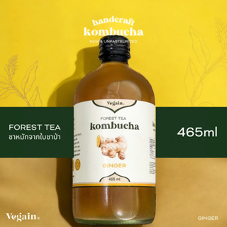 Vegain 465ml. 1 Bottle Forest Tea KOMBUCHA Ginger - วีเกน เครื่องดื่มชาหมักจากใบชาป่า รสจิงเจอร์ 1 ขวด 465 มล.