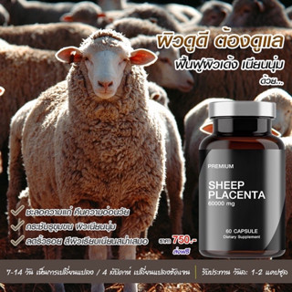 รกแกะ 60 แคปซูล ออสเตรเลีย SHEEP PLACENTA  ส่งฟรี