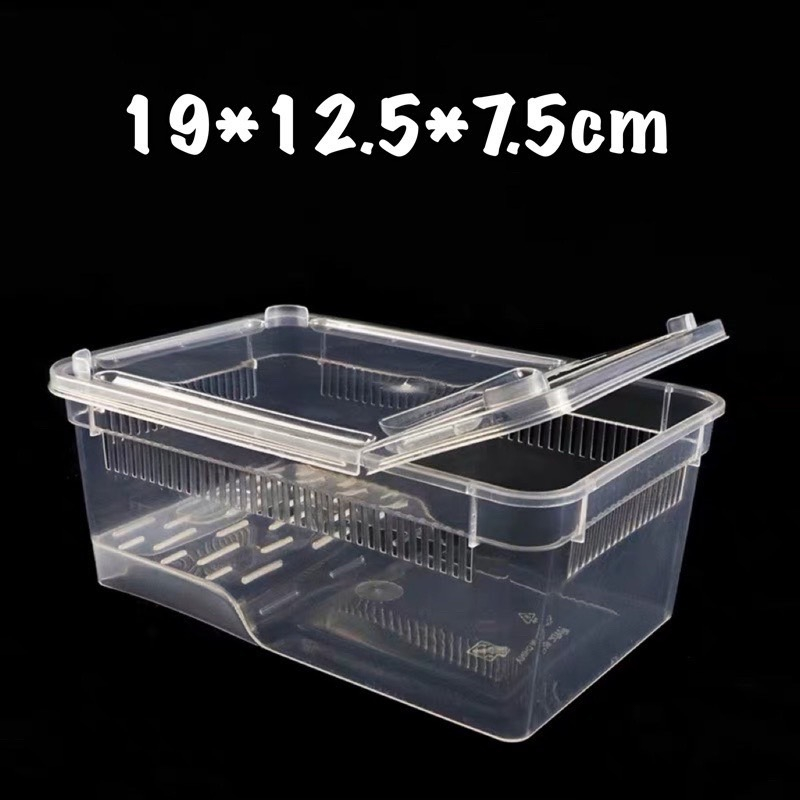 Reptile Box กล่องเลี้ยงสัตว์เล็ก ฮอร์นฟรอก สัตว์เลื้อยคลาน ผสมพันธุ์สดกล่อง แมงมุม ตุ๊กแก แมงป่อง 19*12.5*7.5cm