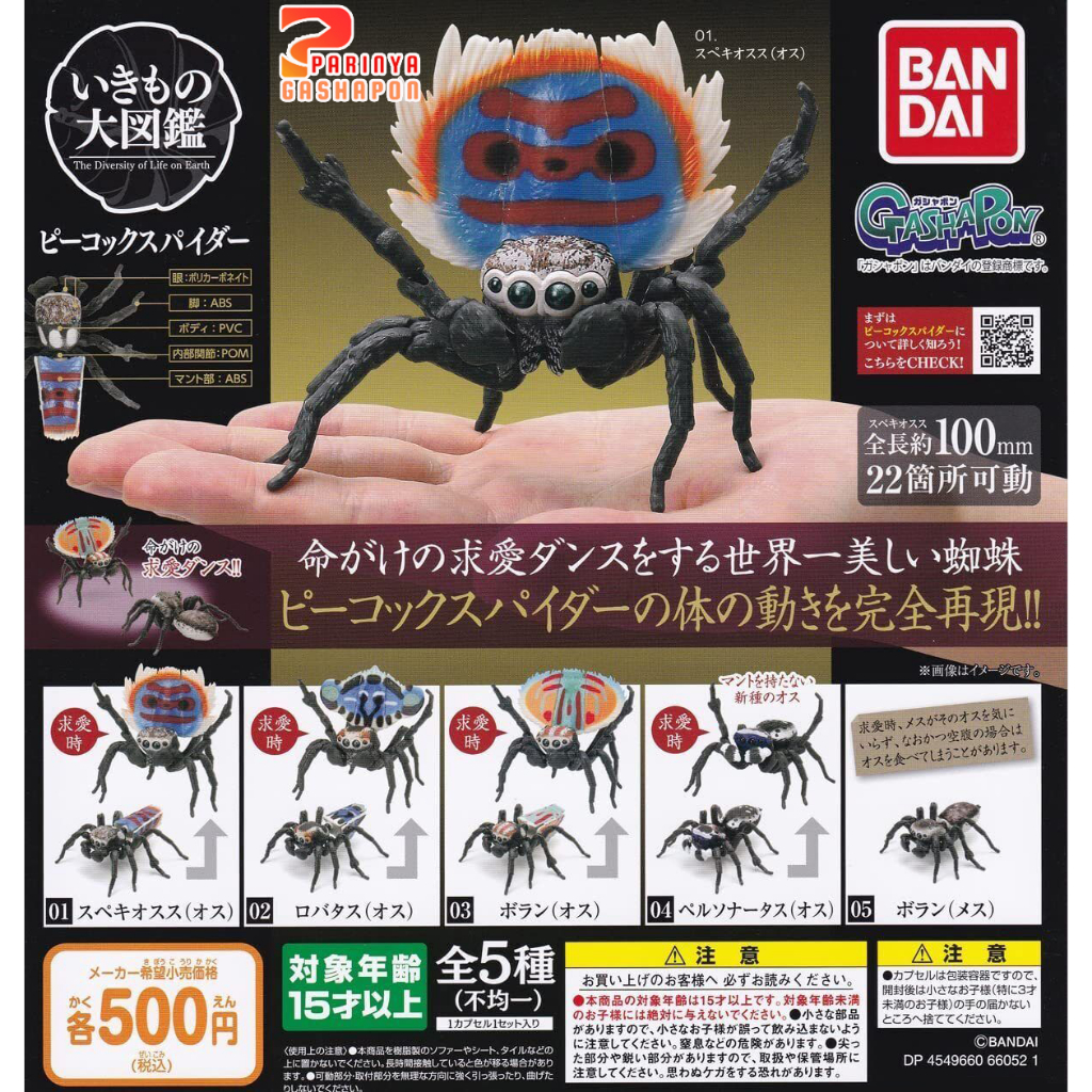 กาชาปองแมงมุม  GASHAPON Bandai Dango Mushi Peacock Spider Action V.1