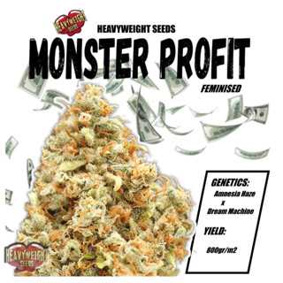 Monster Profit - Heavyweight Seeds.