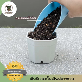 ชุดอุปกรณ์ปลูกต้นไม้ เซต 5 ชิ้น ช้อนตักดิน พรวน ปากคีบ สำหรับแคคตัส สวนจิ๋ว กระถางเล็ก
