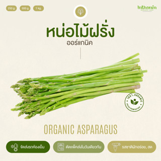 หน่อไม้ฝรั่งอินทรีย์ Organic Asparagus อินทนิลออร์แกนิคฟาร์ม ปลูกธรรมชาติมาตรฐานเกษตรอินทรีย์ เก็บใหม่ทุกออเดอร์