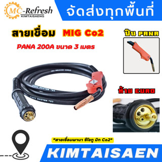 สายเชื่อมพานา ซีโอทู มิก Co2 (MIG) PANA 200A 200แอมป์ ท้ายยูโร Euro ยาว 3เมตร คุณภาพดี