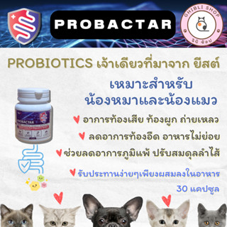 ส่งฟรี PROBACTAR โปรไบโอติกแมว และสุนัข ช่วยลดอาการ ท้องเสีย ท้องผูก ถ่ายเหลว ปรับสมดุลลำไส้ ลดภูมิแพ้