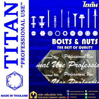 TITAN “PROFESSIONNAL USE” MADE IN THAILAND RP-4411 หัวน็อตหมวก-เงิน M10-1.5#17 (5ตัวใน1ห่อ)