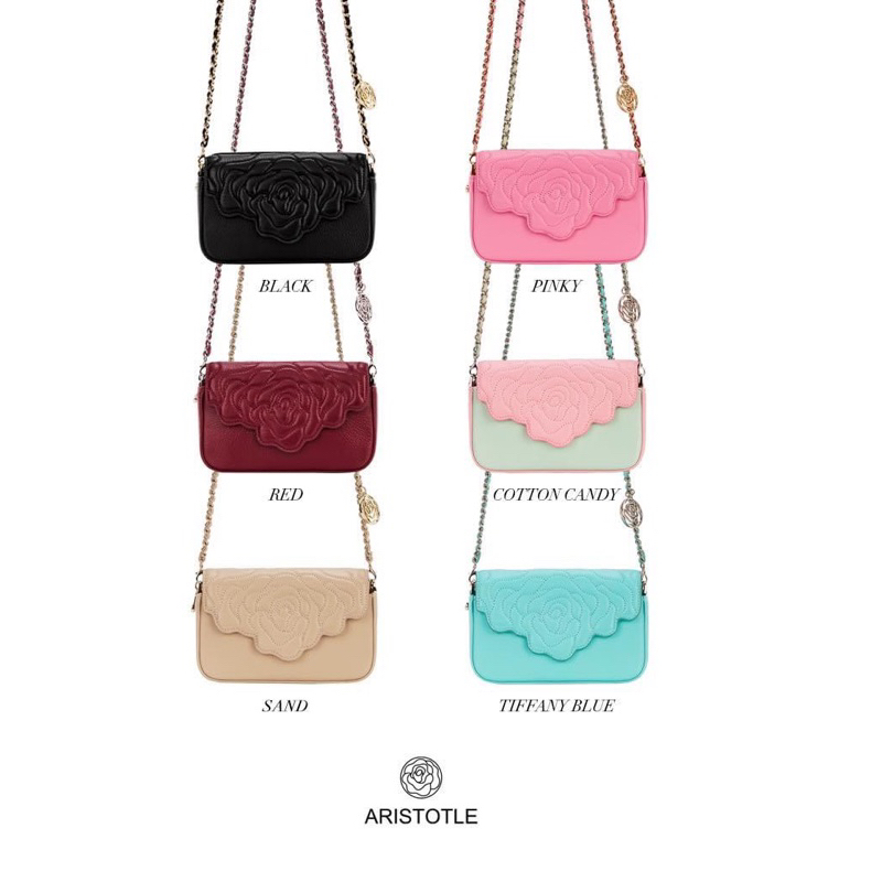 Aristotle bag - Carry All