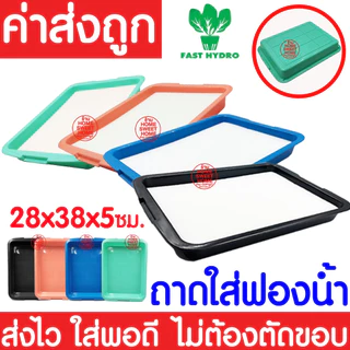 *โค้ดส่งฟรี* ถาดใส่ฟองน้ำ เพาะเมล็ด ถาดเพาะเมล็ดไม่มีรู ถาดเพาะกล้า ปลูกผักไฮโดรโปนิกส์ ถาดเพราะ ฟองน้ำ MAXX
