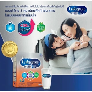 2 กล่อง เอนฟาโกร สมาร์ท ขนาด 3800 กรัม x 2 กล่อง สำหรับเด็กอายุ 1 ปีขึ้นไป