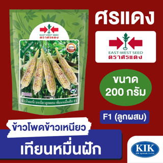 เมล็ดพันธุ์ ผักซอง ศรแดง BIG ข้าวโพดข้าวเหนียว เทียนหมื่นฝัก บรรจุ 200 กรัม