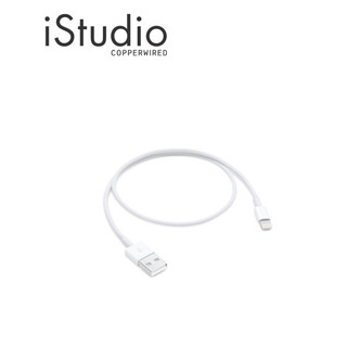 Apple สายชาร์จ iPhone แบบ Lightning to USB Cable ไม่สามารถใช้กับหัวชาร์จ 20W ได้ | iStudio by copperwired