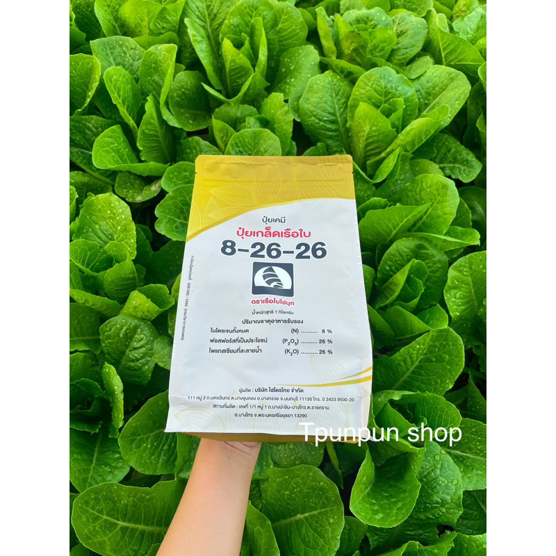 ปุ๋ยเกล็ด8-26-26เรือใบ1กก.🌽สะสมอาหาร🌸สร้างตาดอก🍊เพิ่มผลผลิต