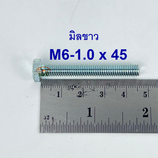 สกรูมิลขาวเกลียวตลอด ปะแจเบอร์10 ขนาด M6-1.0 x 45 (บรรจุ 100 ตัว)