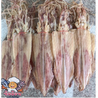 หมึกไหว้เจ้า ไซส์ใหญ่จัมโบ้ เริ่มต้น 500 กรัม