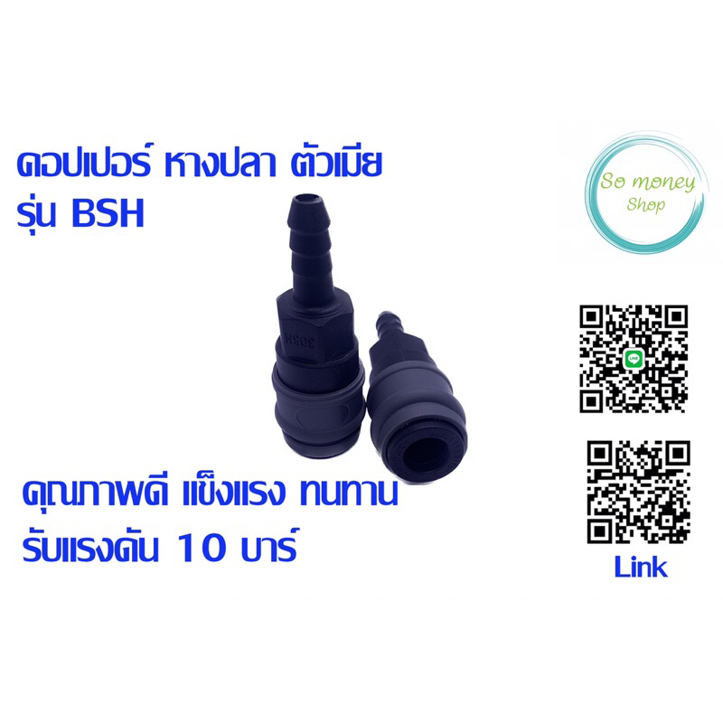 คอปเปอร์ หางปลา ตัวเมีย รุ่น BSH