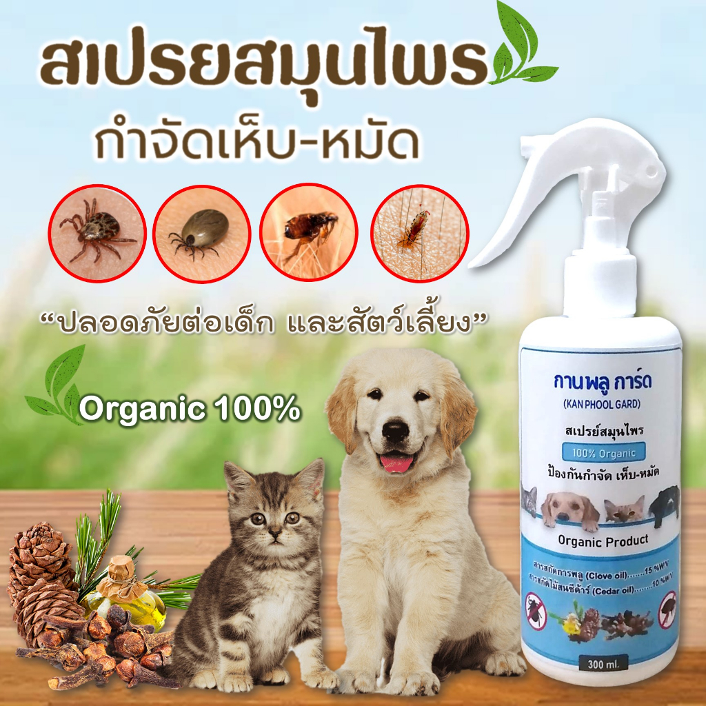 สเปรย์​สมุนไพร​ กำจัดเห็บหมัด​ กานพลู​ การ์ด​ สูตรออร์แกนิค​ ช่วยขับไล่เห็บหมัด และแมลงรบกวน