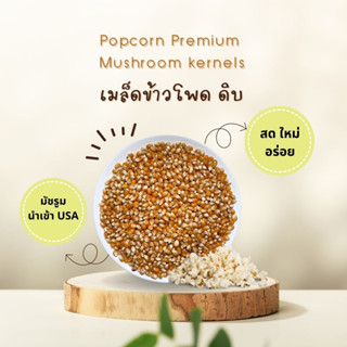 เมล็ดข้าวโพดดิบ มัชรูม  Popcorn Premium Mushroom kernels นำเข้าจาก USA