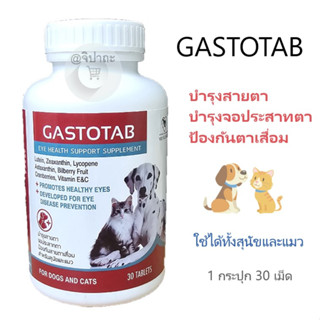 GASTOTAB อาหารเสริมบำรุงสายตาสุนัขและแมว บำรุงจอประสาทตา ป้องกันตาเสื่อม (1 กระปุก 30 เม็ด)