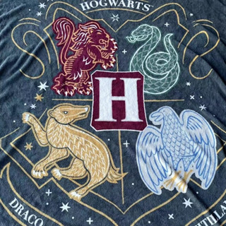 ผ้าห่ม ผ้าคลุมโซฟา ผ้าปูเตียงเด็กเล็ก แฮร์รี่ พอตเตอร์ HARRY POTTER Plush Throw