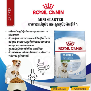 Royal Canin กระสอบ8.5 kg*1 ถุง  Mini Starter MotherandBabydog โรยัล คานิน อาหารสุนัข รอยัลคานิน สำหรับแม่และลูกสุนัขมินิ