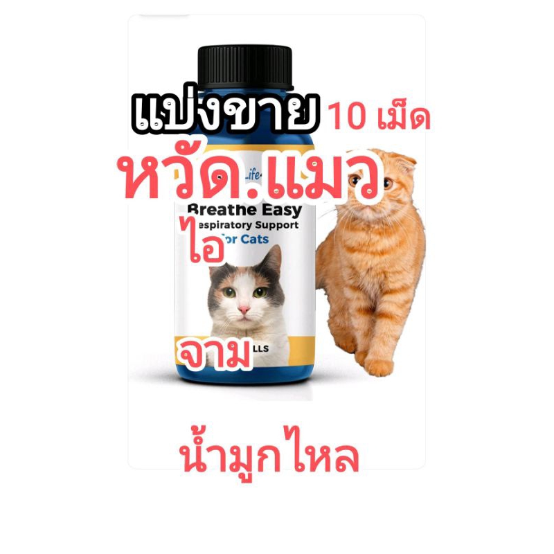 ส่งฟรีไม่ใช้โค้ด แบ่ง 10 เม็ด อาหารแมว เสริม หวัด แมว  หวัดแมว